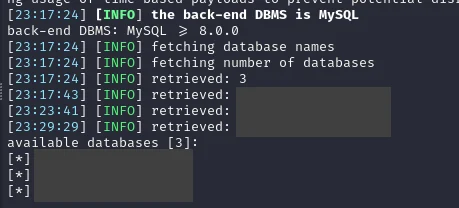 sqlmap retrieved database (redacted)