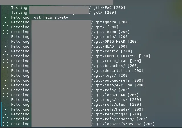 Git-dumper tool extraction