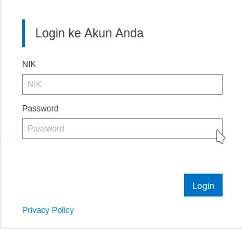 Subdomain Enumeration