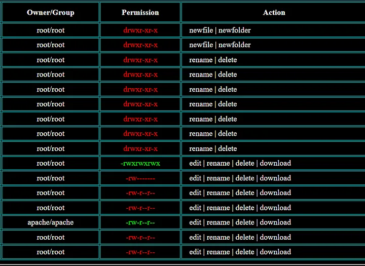 Command Execution